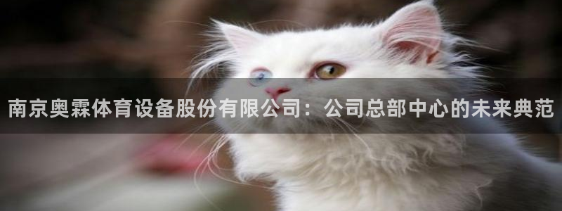 意昂4娱乐40996：南京奥霖体育设备股份有限公司：