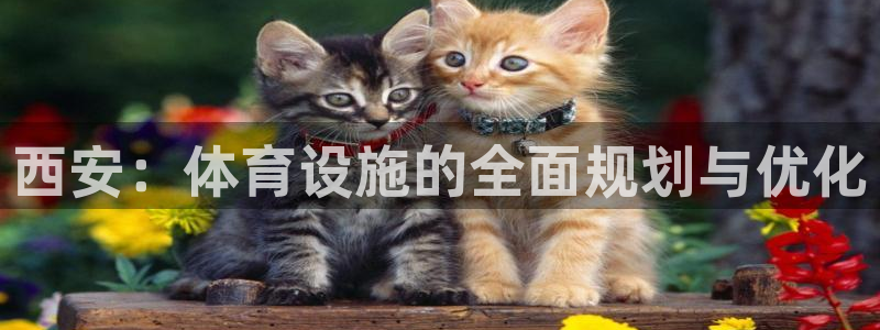 意昂4娱乐首页网站大全：西安：体育设施的全面规划与优