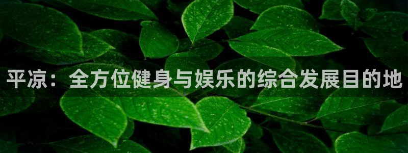 意昂体育4平台注册流程图：平凉：全方位健身与娱乐的综