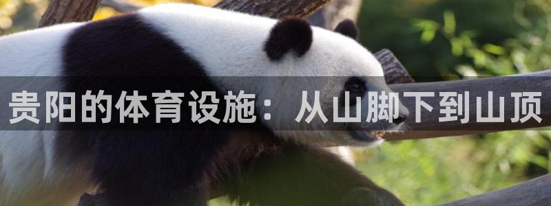 意昂4新能源：贵阳的体育设施：从山脚下到山顶