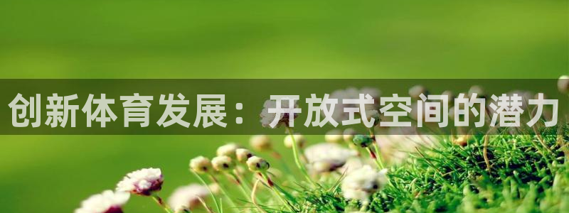 意昂体育4平台注册要钱吗：创新体育发展：开放式空间的