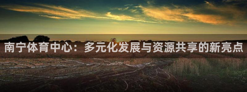 意昂体育4招商电话是多少啊：南宁体育中心：多元化发展与资源共
