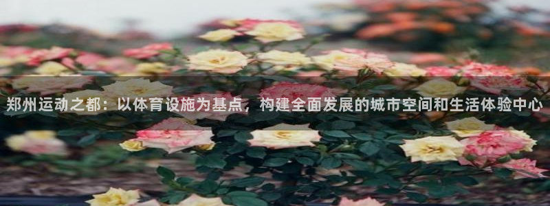 意昂4集团E.ON：郑州运动之都：以体育设施为基点，
