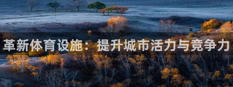 意昂4神州：革新体育设施：提升城市活力与竞争力