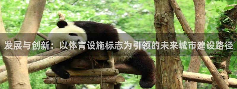 意昂4代理：发展与创新：以体育设施标志为引领的未来城