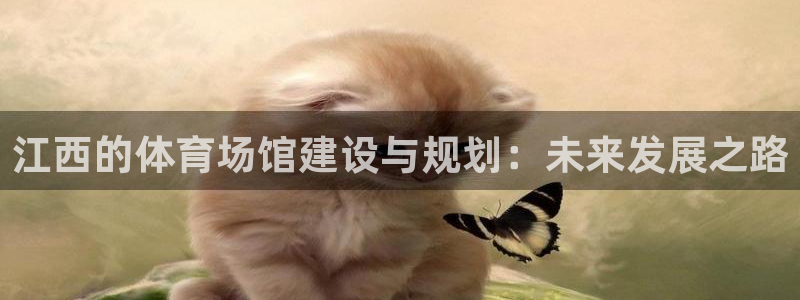 意昂4神州：江西的体育场馆建设与规划：未来发展之路