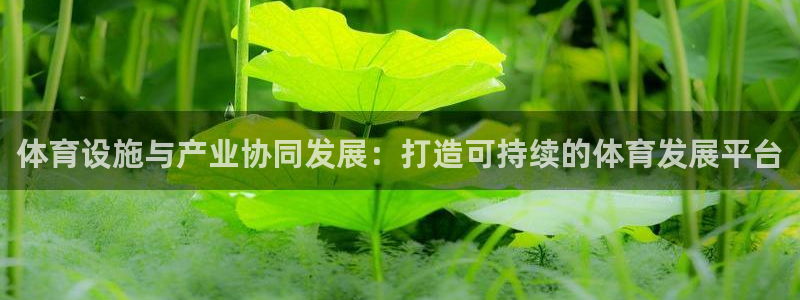 意昂4集团官网首页：体育设施与产业协同发展：打造可持