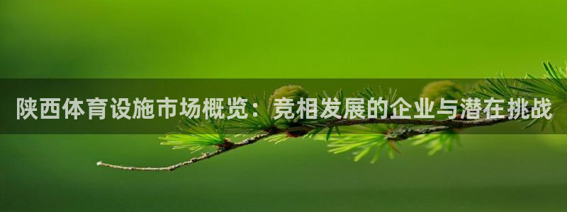 意昂4集团：陕西体育设施市场概览：竞相发展的企业与潜