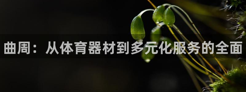 意昂体育4：曲周：从体育器材到多元化服务的全面