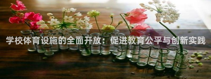 意昂4新能源：学校体育设施的全面开放：促进教育公平与