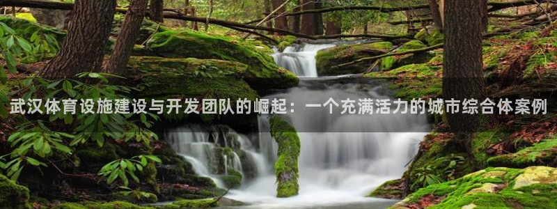 意昂4集团官网首页网址：武汉体育设施建设与开发团队的