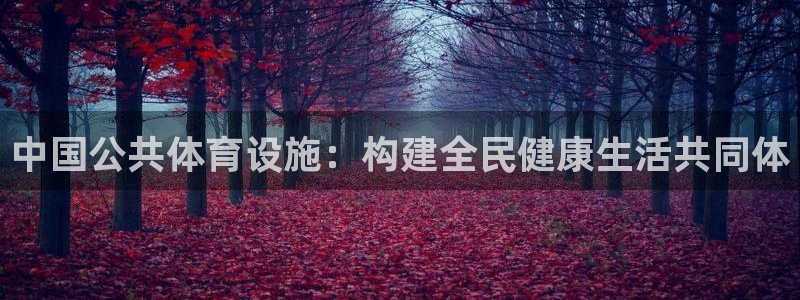 意昂体育4注册：中国公共体育设施：构建全民健康生活共同体