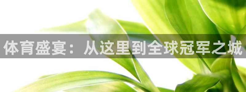 意昂体育4招商电话地址查询：体育盛宴：从这里到全球冠