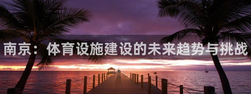 意昂4科技：南京：体育设施建设的未来趋势与挑战