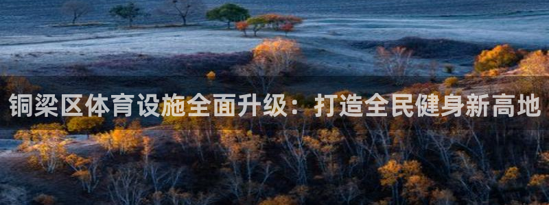 德国意昂4集团：铜梁区体育设施全面升级：打造全民健身