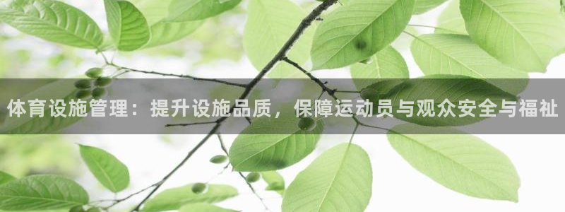 意昂体育4平台注册流程图：体育设施管理：提升设施品质，保障运