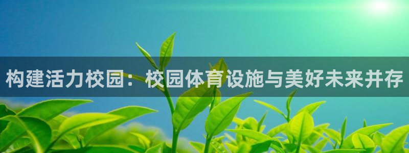 意昂平台体育：构建活力校园：校园体育设施与美好未来并
