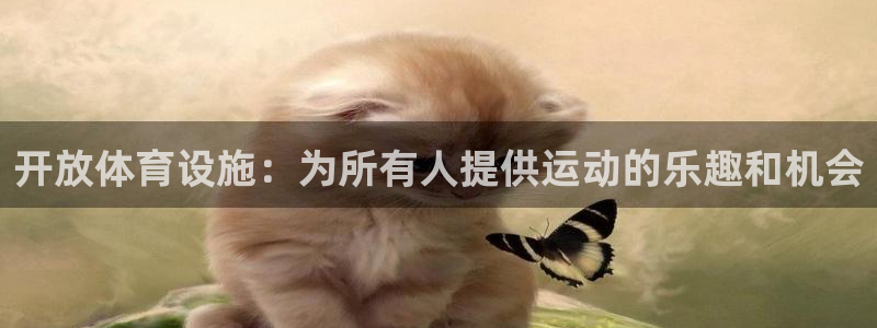 意昂4娱乐平台：开放体育设施：为所有人提供运动的乐趣