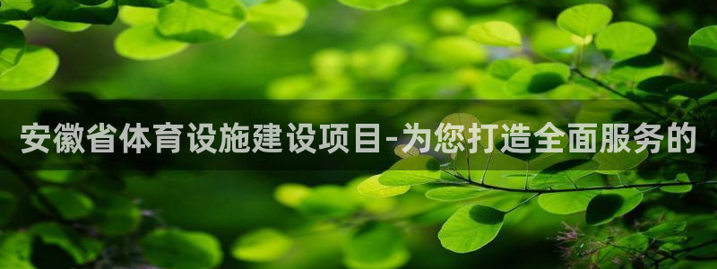 意昂体育4招商：安徽省体育设施建设项目-为您打造全面