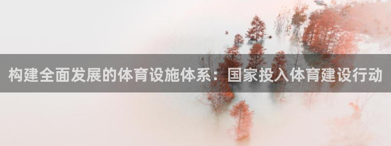 意昂体育4注册：构建全面发展的体育设施体系：国家投入