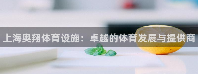 意昂平台体育：上海奥翔体育设施：卓越的体育发展与提供