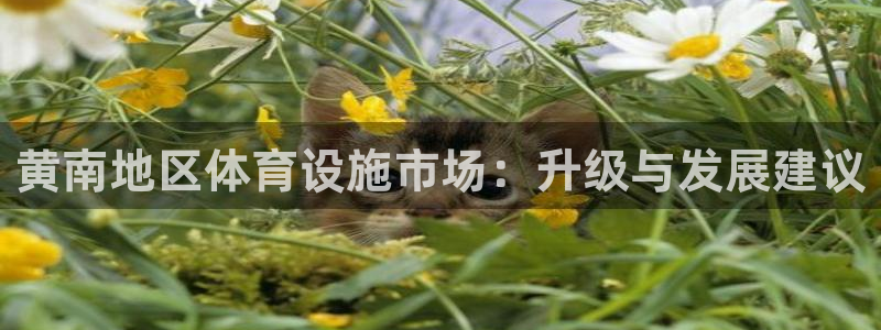 意昂体育4招商电话号码查询：黄南地区体育设施市场：升级与发展