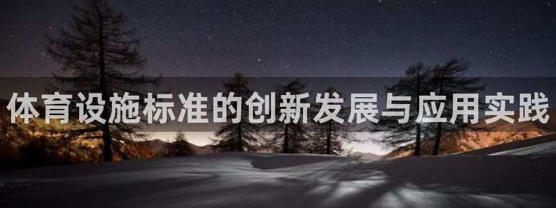 意昂体育4平台注册流程图：体育设施标准的创新发展与应