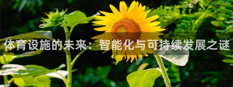 意昂体育4招商电话号码是多少：体育设施的未来：智能化与可持续