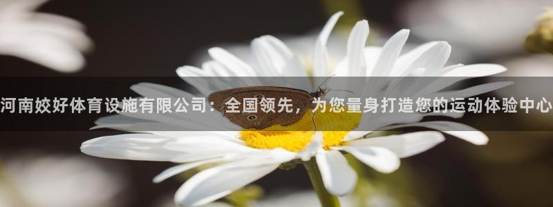 意昂体育4是干嘛的公司：河南姣好体育设施有限公司：全国领先，