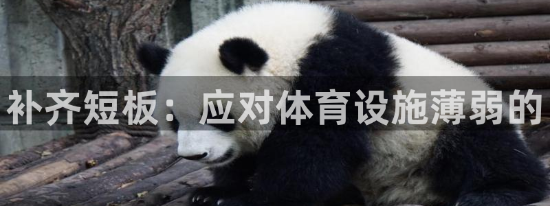 意昂4娱乐网站：补齐短板：应对体育设施薄弱的