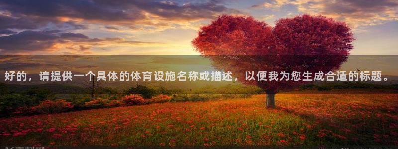 意昂体育4开户：好的，请提供一个具体的体育设施名称或描述，以