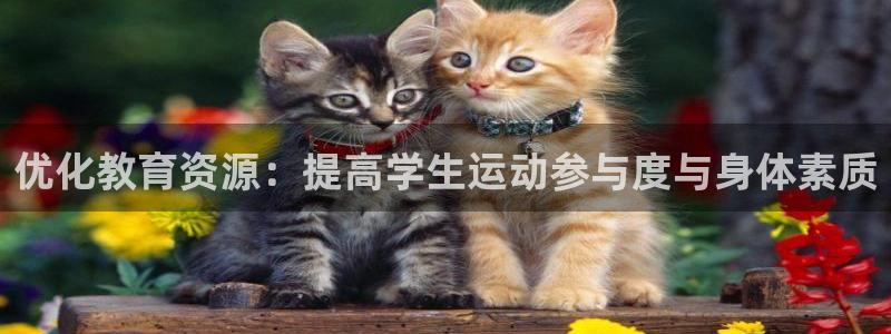 意昂4科技：优化教育资源：提高学生运动参与度与身体素质